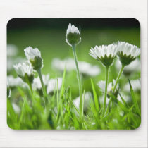 Daisies Mousepads