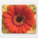 Daisies Mousepad