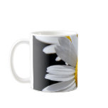 daisies mugs