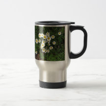 Daisies Mug