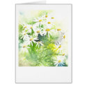 Daisies on green cards