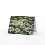 Daisies peace sign cards
