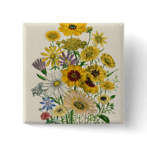 Daisies, plate 31 from 'The Ladies' Button