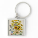 Daisies, plate 31 from 'The Ladies' Key Chain