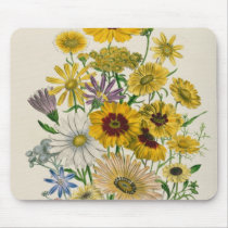 Daisies, plate 31 from 'The Ladies' Mousepad