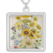 Daisies, plate 31 from 'The Ladies' Pendant