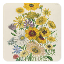Daisies, plate 31 from 'The Ladies' Square Stickers
