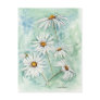 'Daisies' Postcard