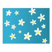 Daisies Postcard