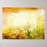 Daisies Posters