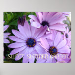 DAISIES Purple Flowers 1 Art Prints Posters Art