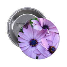 DAISIES Purple Pink Daisy 1 Cards Gifts Mugs