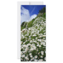 Daisies rack cards