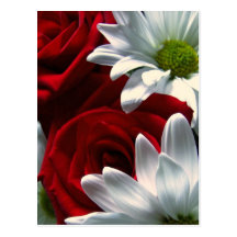 Daisies & Roses Postcard