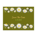 Daisies Save the Date Wedding Announcement Card postcards