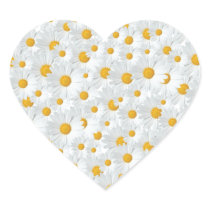Daisies
