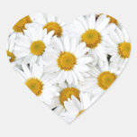 Daisies Stickers