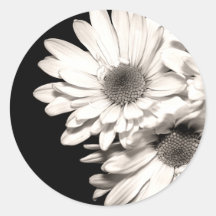 Daisies Stickers