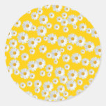 Daisies Stickers