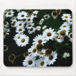 Daisies Stylised I mousepads