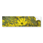 Daisies & Sunshine Bumper Sticker bumper stickers