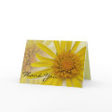 Daisies Thank You Card