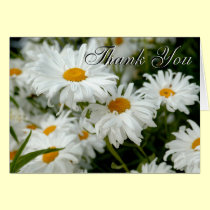 Daisies Thank You Card cards