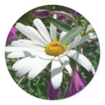 Daisy and Fireweed Sticker