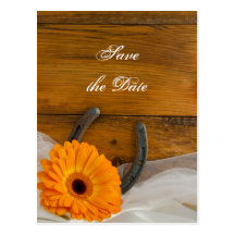 Daisy and Horseshoe Country Wedding Save the Date Post Card