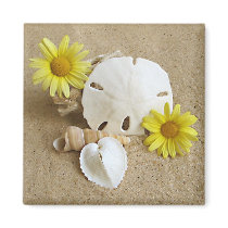 Daisy and Seashells on Beach Magnets