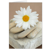 Daisy And Stones Greeting Cards