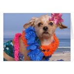 Daisy at the Beach Card