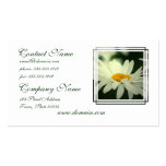 Daisy Business Card