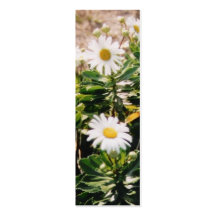 daisy business card template