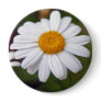 daisy button