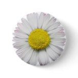 Daisy Button