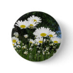 daisy buttons