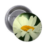 Daisy Button