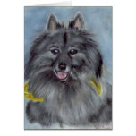 Daisy Greeting Cards