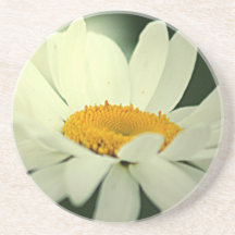 Daisy Coaster