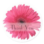 Daisy Custom Floral Sticker