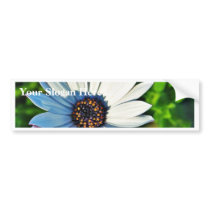 Daisy Daisies Flowers Petals Bumper Stickers