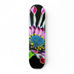 Daisy Daisies Flowers Petals Pink Pollen skateboards