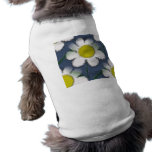 DAISY DAISY pet clothing