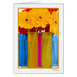 Daisy delight III Greeting Card