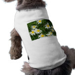 Daisy Doggy sweater pet clothing