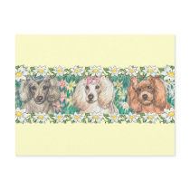 Daisy Dogs Toy Poodles Post Card