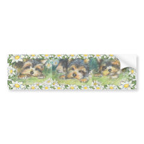 Daisy Dogs Yorkie Puppies Bumper Sticker