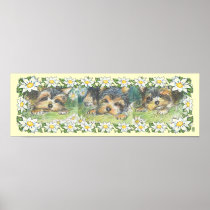 Daisy Dogs Yorkie Puppies Poster Print