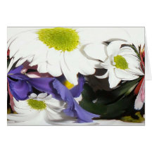 Daisy drape cards